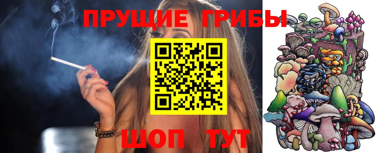 Галлюциногенные грибы мухоморы Каменск-Уральский