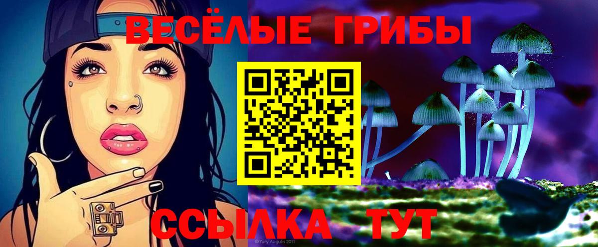 Каменск-Уральский  Галлюциногенные грибы мицелий  Вход с VPN 